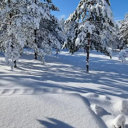 Sielanka Holiday home Borsk