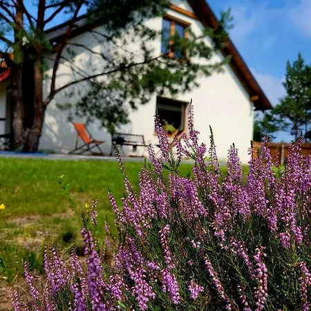 Ferienhaus Sielanka Borsk