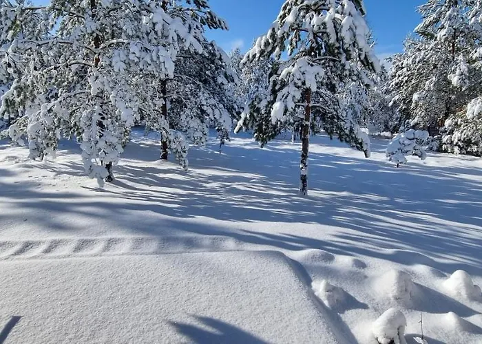 Sielanka Semesterbostad Borsk