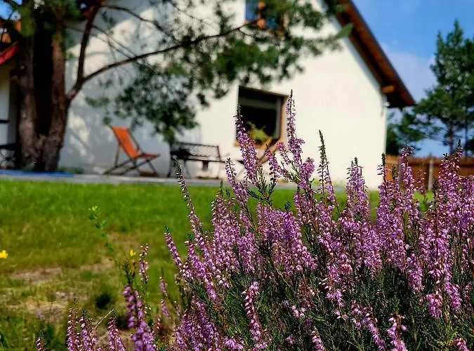 Semesterbostad Sielanka Borsk